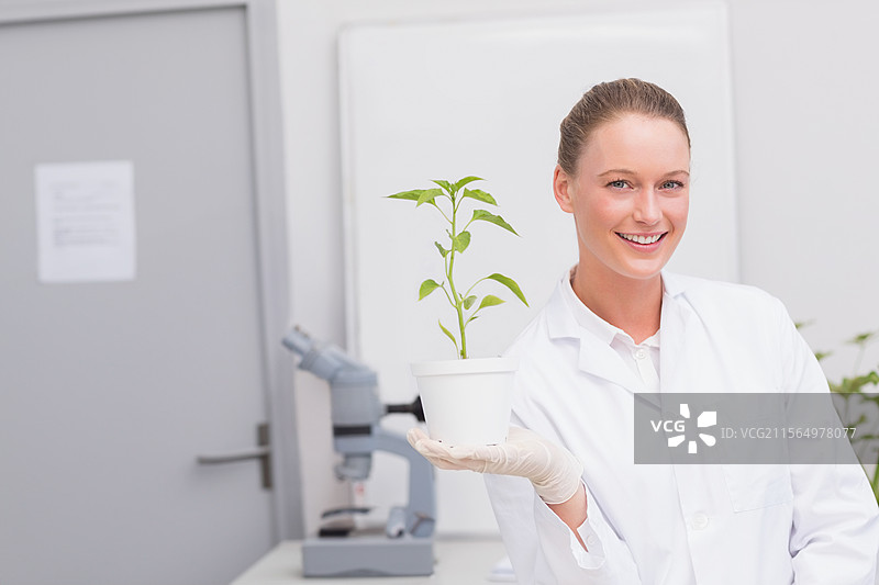 穿着实验室外套和手套的女性科学家，手持白色花盆，里面有幼苗，站在显微镜旁的实验室里。图片素材