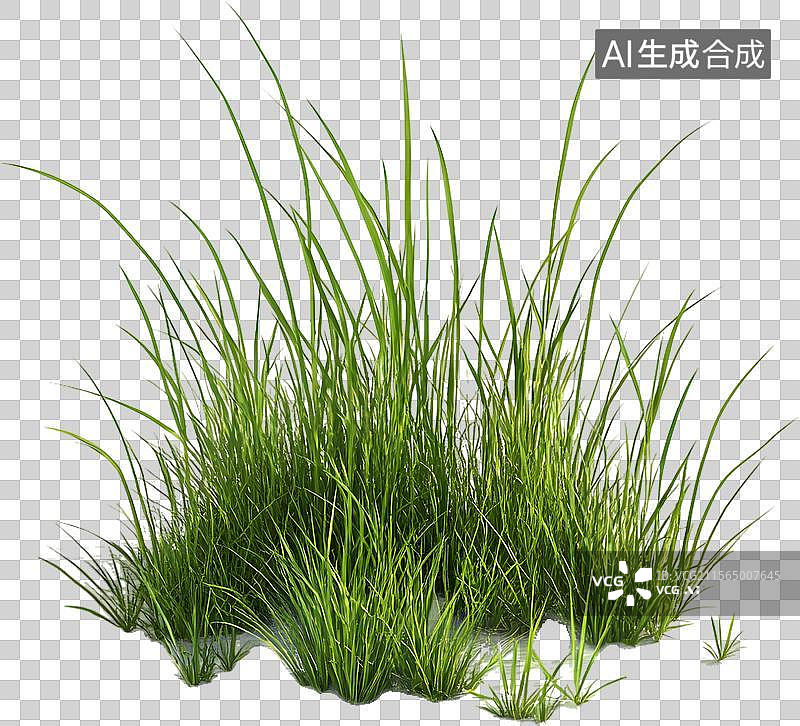 【AI数字艺术】翠绿草地图片素材