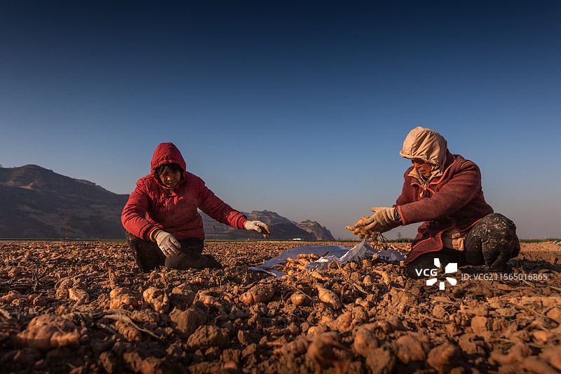劳动者（集锦）图片素材