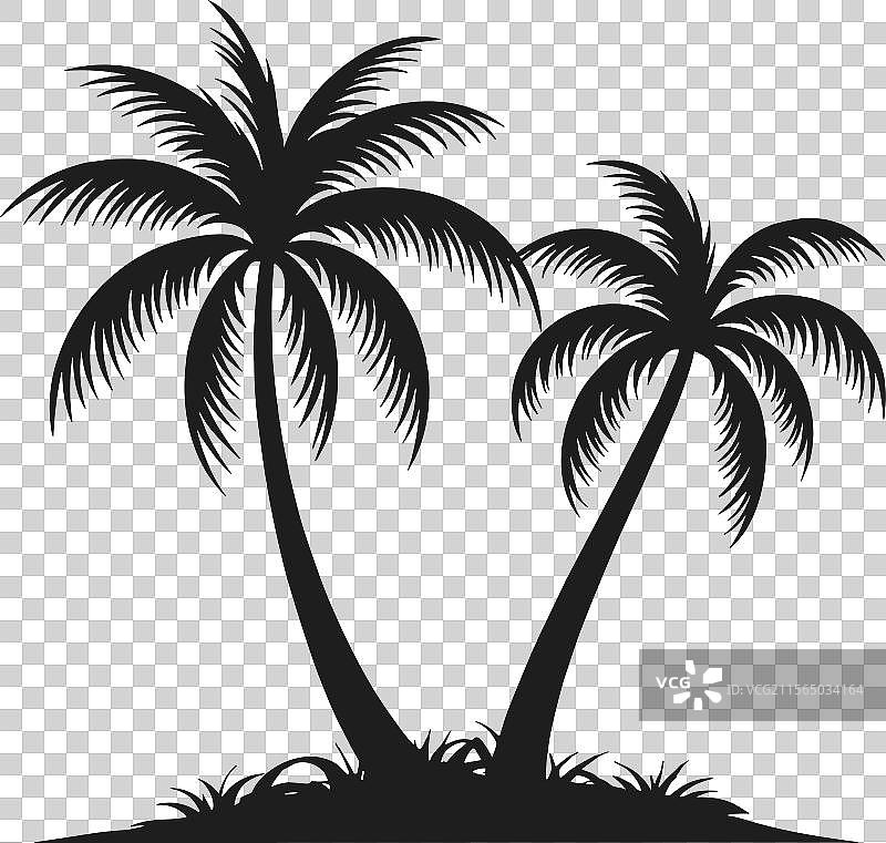 热带棕榈树剪影设计图片素材