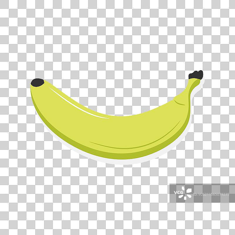 未成熟的香蕉果实孤立在白色背景上图片素材