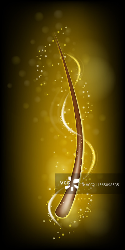 3D真实的头发和毛囊护理图片素材