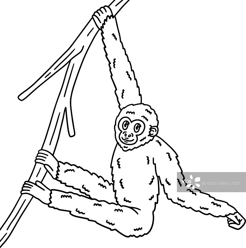 孤立的长臂猿动物儿童涂色页图片素材