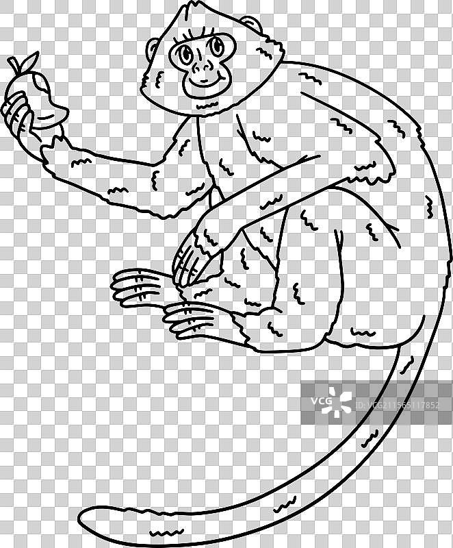 孤立的哈奴曼长臂猿猴涂色页图片素材