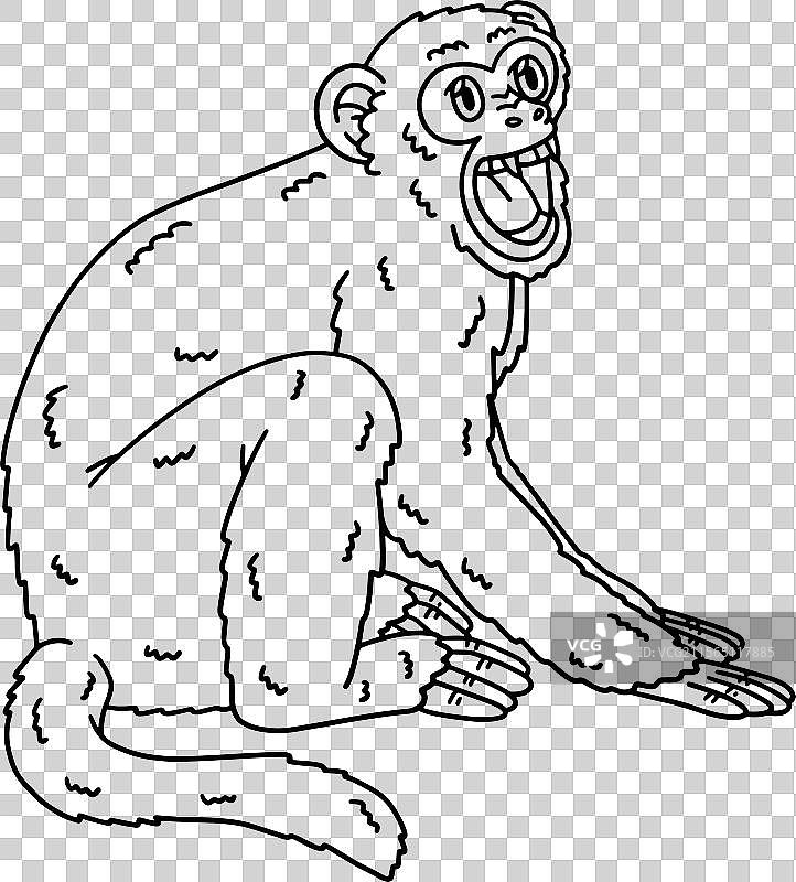 孤立的猕猴涂色页图片素材