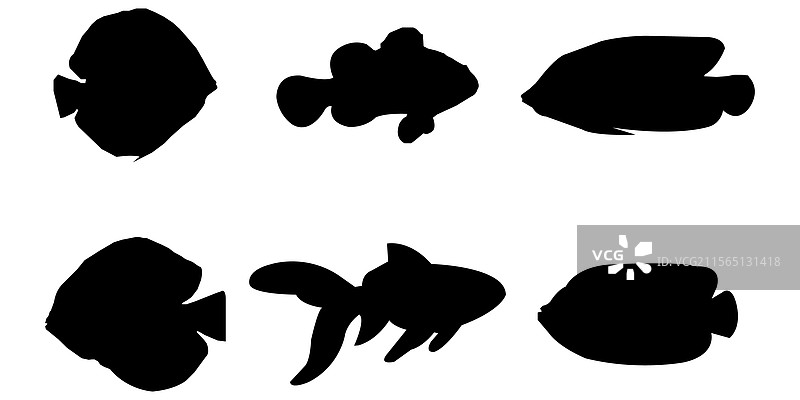 水族馆鱼类的剪影集合图片素材