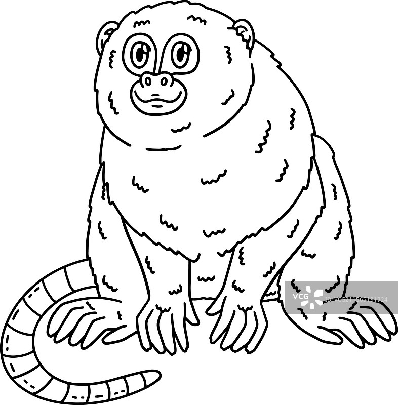 侏儒狨猴孤立的涂色页图片素材
