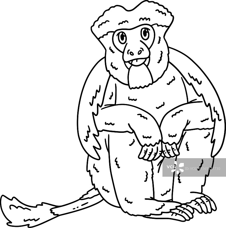 孤立的黑白卷尾猴着色图图片素材