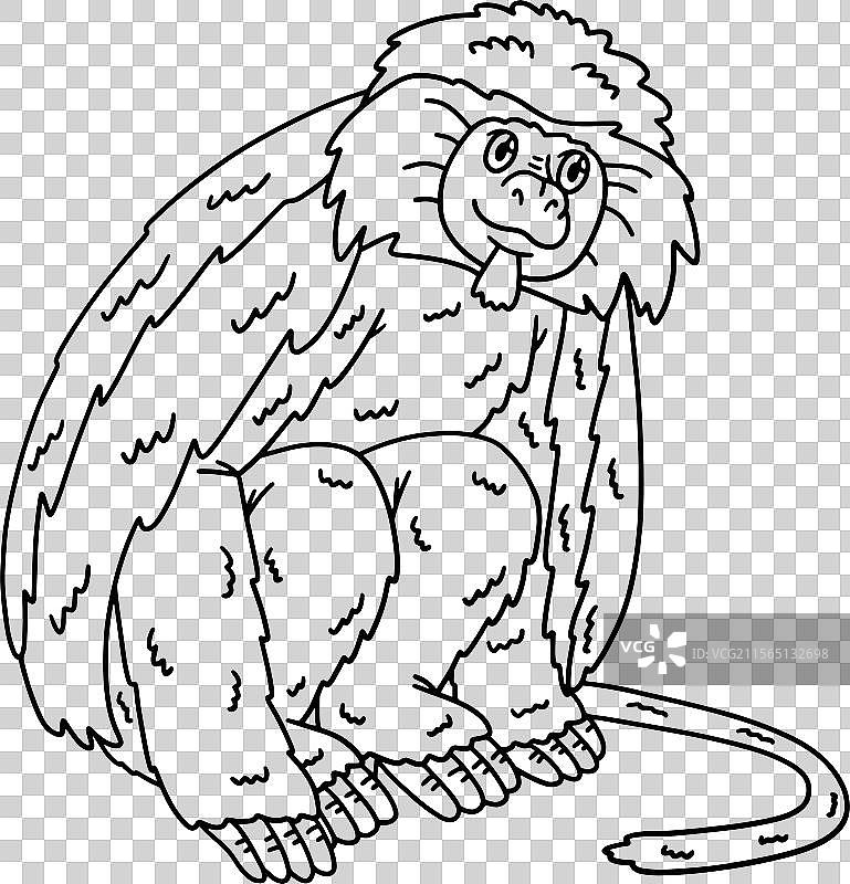 孤独猴动物孤立的涂色页图片素材