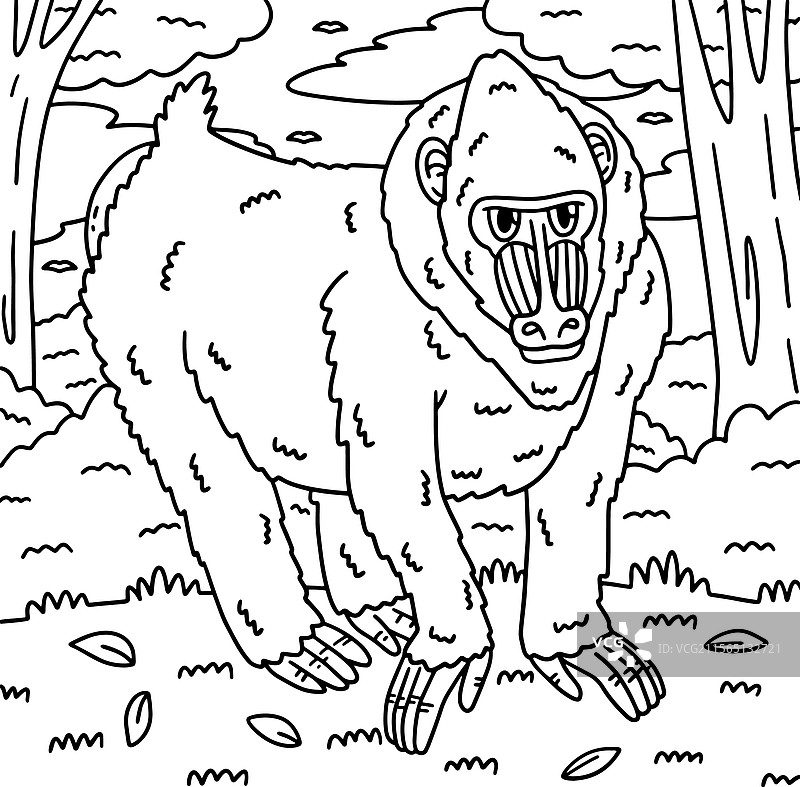 小孩用的曼德里尔猴子动物涂色页图片素材