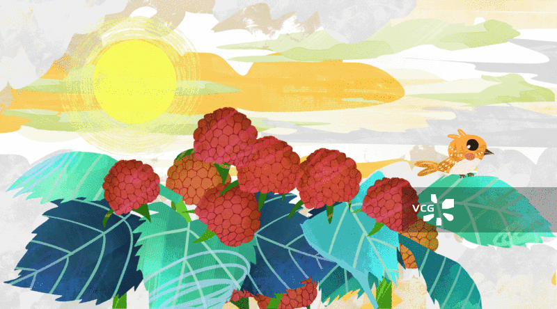 水果覆盆子插画背景GIF动图图片素材