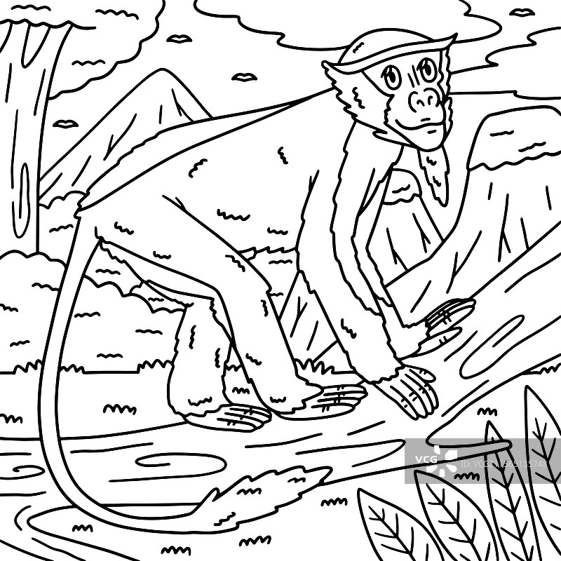 戴安娜猴子动物涂色页，适合儿童使用图片素材