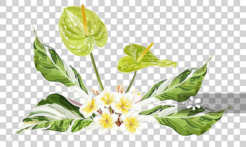 夏季热带花束，包含火鹤花图片素材