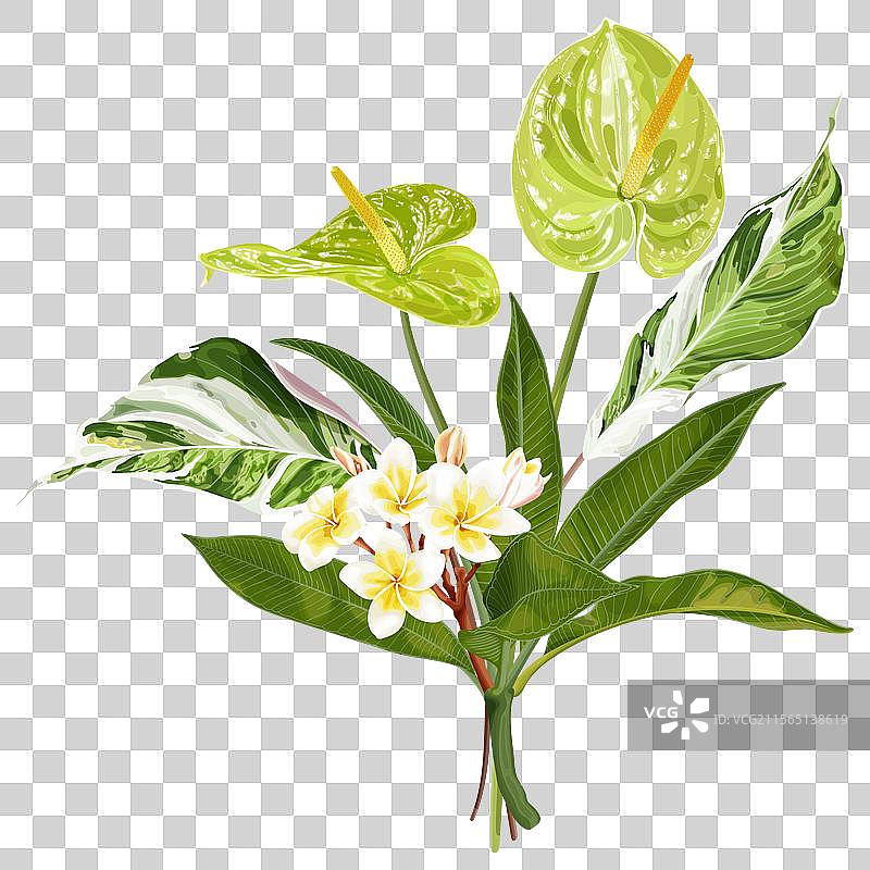 夏季热带花束，包含火鹤花图片素材