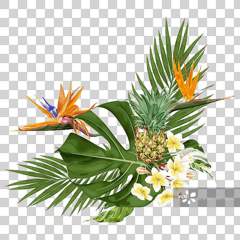 夏季热带花束，包含天堂鸟花图片素材