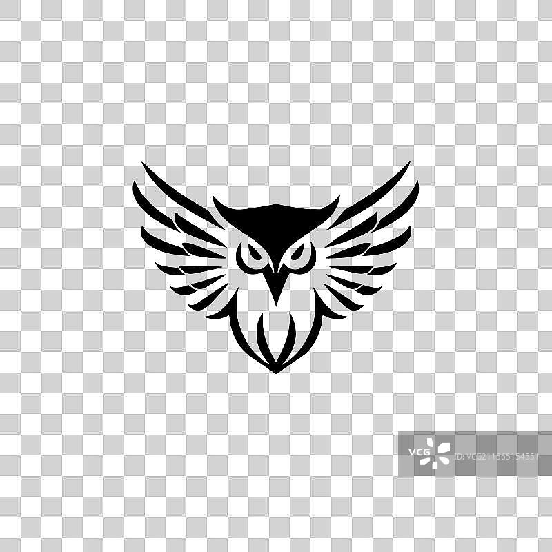 猫头鹰 - 黑白色图片素材