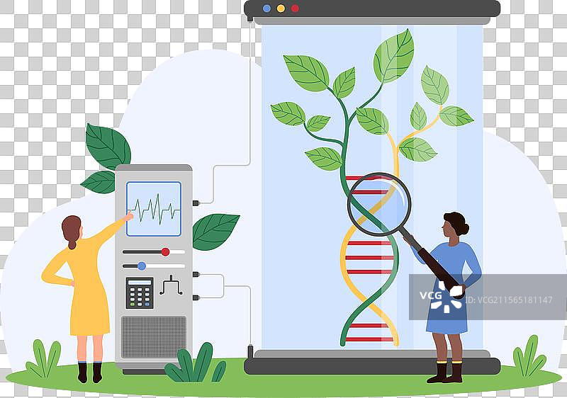 体外生长植物的遗传研究图片素材