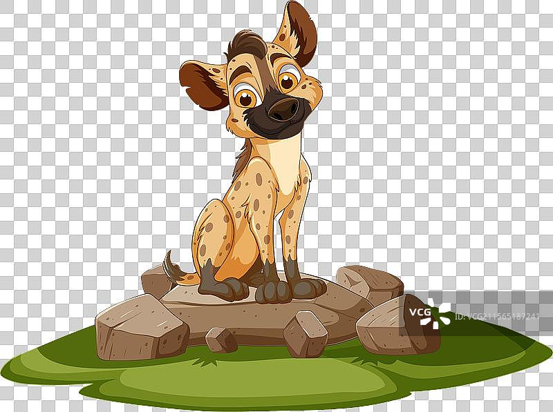 可爱的土狼坐在草地上的岩石上图片素材