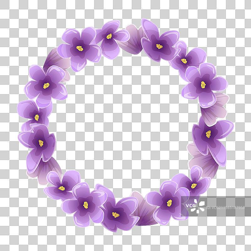 紫色和紫罗兰色的丁香花圆形花环图片素材