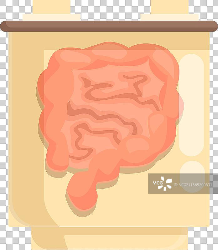 人类的大肠内部图片素材