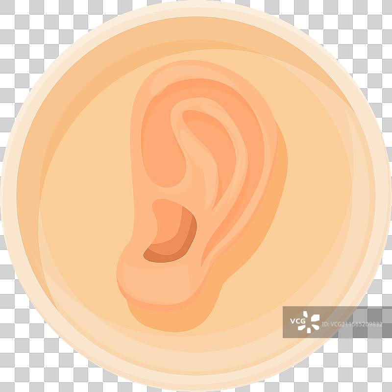 孤立的人耳详细图解图片素材