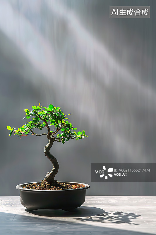 【AI数字艺术】灰色墙面背景下的盆景特写图片素材