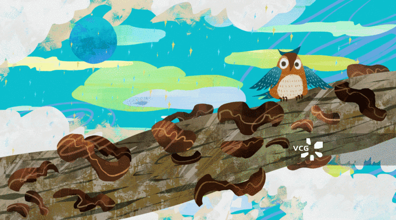 黑木耳插画背景GIF动图图片素材