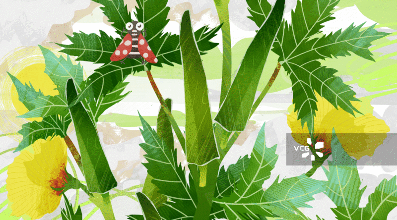 蔬菜秋葵插画背景GIF动图图片素材