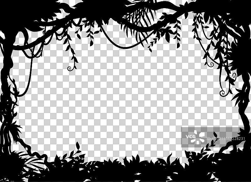热带丛林框架与藤蔓轮廓图片素材