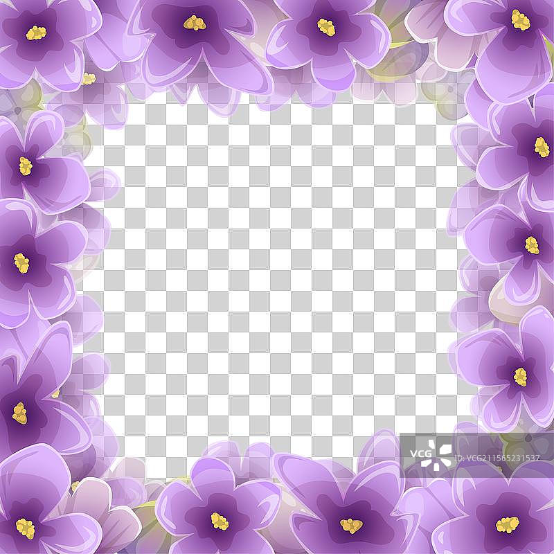 紫丁香紫色花卉的方形框架，呈现紫罗兰色调图片素材