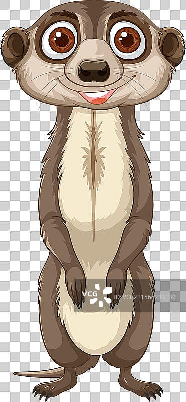 微笑的猫鼬，眼睛大大，直立着站着图片素材