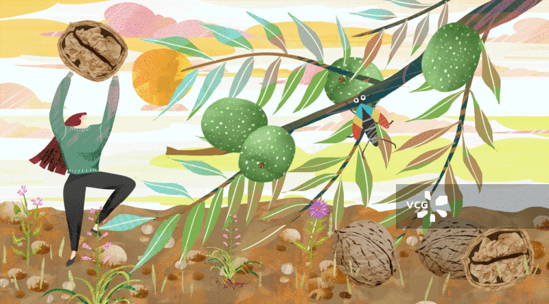 坚果核桃插画GIF动图图片素材