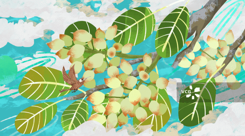 开心果树插画GIF动图图片素材