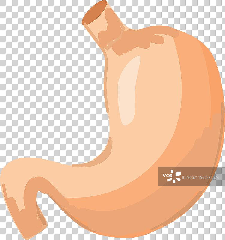 适合的平面设计的人类胃部图示图片素材