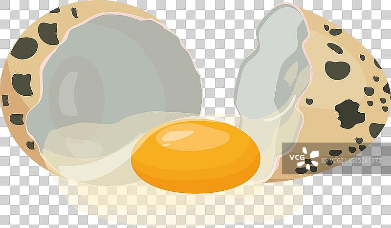 打开的鹌鹑蛋和蛋黄的图形图片素材