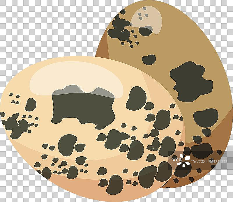 两只斑点鹌鹑的细节图片素材