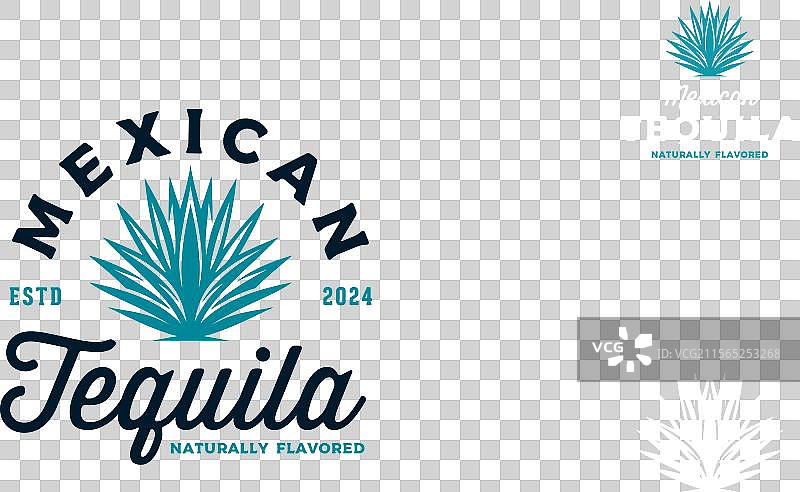 墨西哥蓝色龙舌兰植物用于龙舌兰酒饮品的标志图片素材