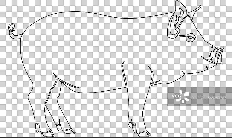 连续线条画的猪农场动物概念图片素材