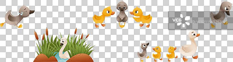 丑小鸭童话与小鸟图片素材