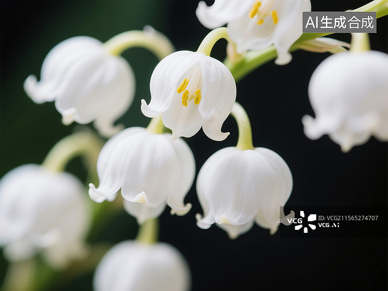 【AI数字艺术】铃兰花朵特写图片素材