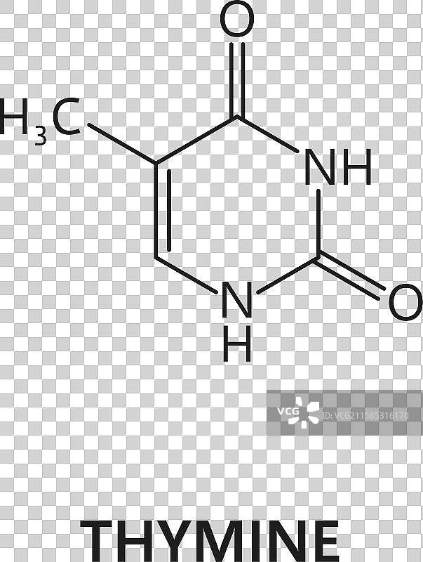 胸腺嘧啶核酸氮碱的化学式图片素材