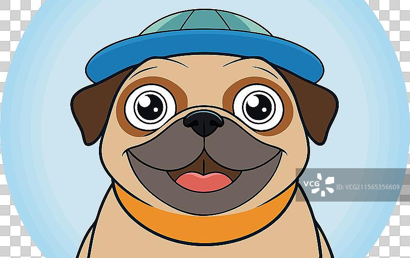 可爱的哈巴狗脸戴着帽子，表情愉快图片素材