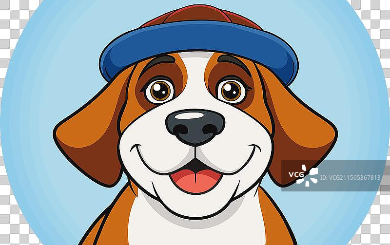 可爱的圣伯纳犬面孔，戴着帽子，显得很快乐图片素材