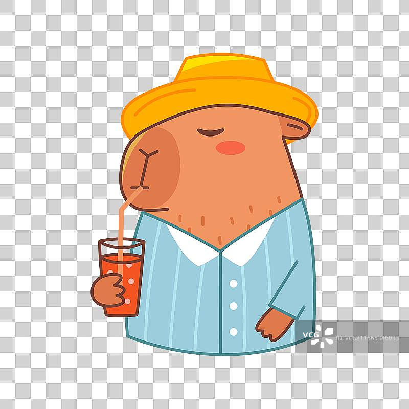 戴着帽子的水豚喝果汁图片素材