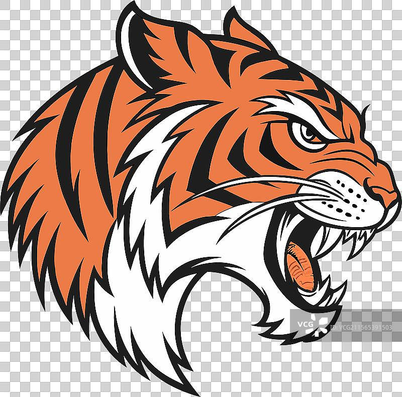 愤怒的老虎面孔图像图片素材