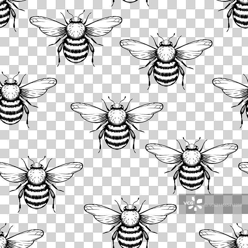 带有蜜蜂的无缝图案，背景为彩色图片素材