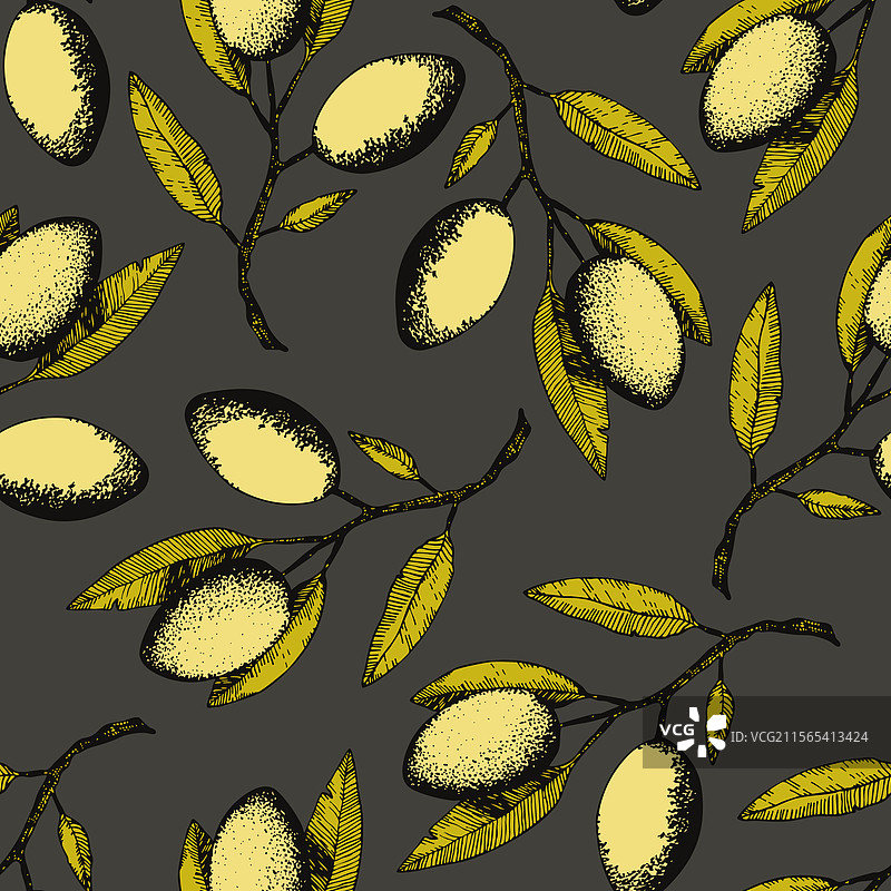 手绘橄榄枝无缝图案图片素材