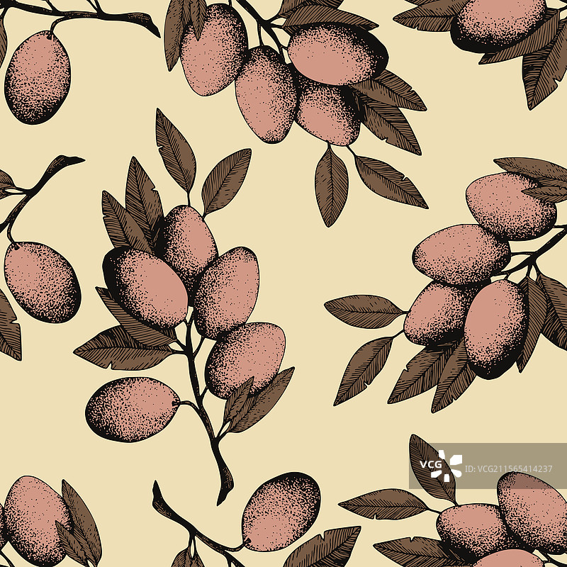 手绘橄榄枝无缝图案图片素材