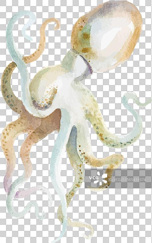 手绘水彩章鱼新鲜感十足图片素材