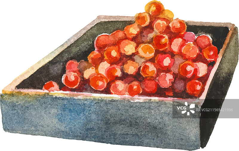 水彩画的红鱼子酱，手绘新鲜感图片素材